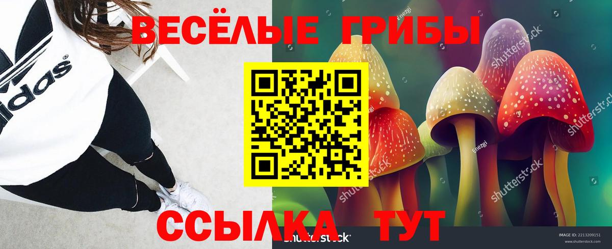 Псилоцибиновые грибы мицелий  Вход с VPN  Кудымкар  даркнет сайт  Псилоцибиновые грибы GOLDEN TEACHER 